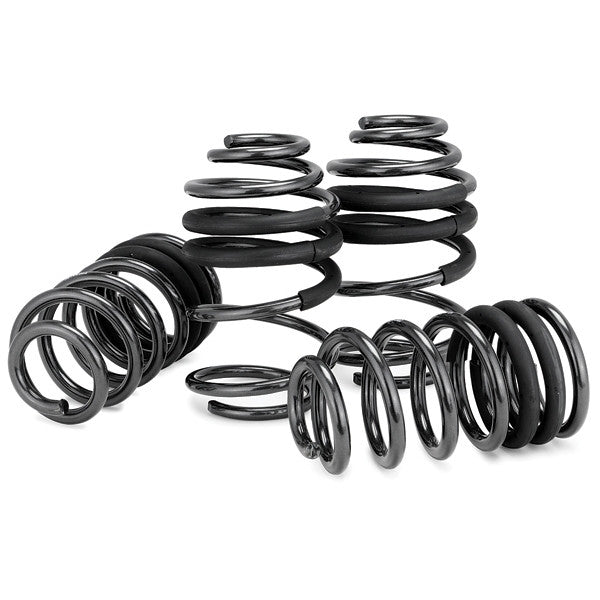 10th Gen Honda Accord Eibach Pro-Kit Performance Springs - VTEC SLAYER