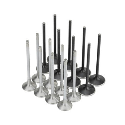 Skunk2 Alpha Series Intake & Exhaust Valve Set for 2017+ Honda Civic Type R FK8 FL5 2.0T (K20C1)