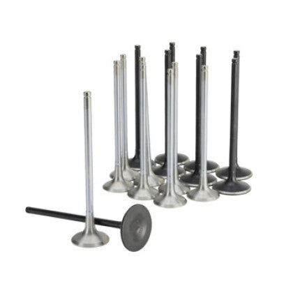 Skunk2 Alpha Series Intake & Exhaust Valve Set for 2017+ Honda Civic Type R FK8 FL5 2.0T (K20C1)