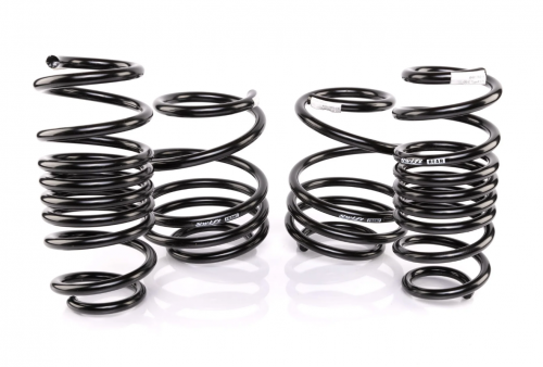 Resortes de descenso Swift Springs Spec-R