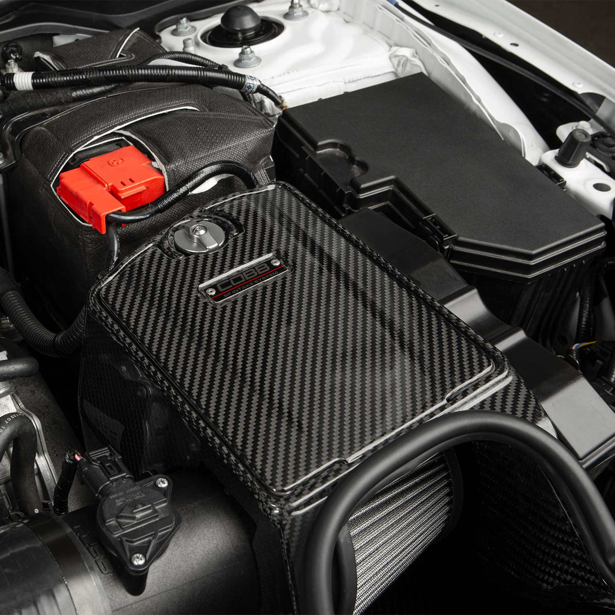 COBB Redline Carbon Fiber Intake for 2023+ Honda Civic Type R / 2024+ Acura Integra Type S [FL5/DE5]