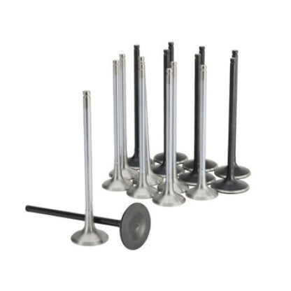 Skunk2 Alpha Series Intake & Exhaust Valve Set for 2017+ Honda Civic Type R FK8 FL5 2.0T (K20C1)